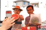 命数测算（乡村行·看振兴）江西安福“小西瓜”撬动乡村共富“大支点”